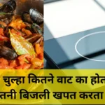 इंडक्शन चुल्हा कितने वाट का होता है और कितनी बिजली खपत करता है?