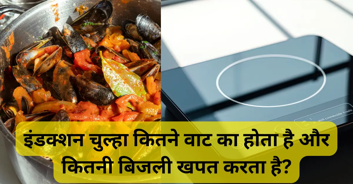 इंडक्शन चुल्हा कितने वाट का होता है और कितनी बिजली खपत करता है?